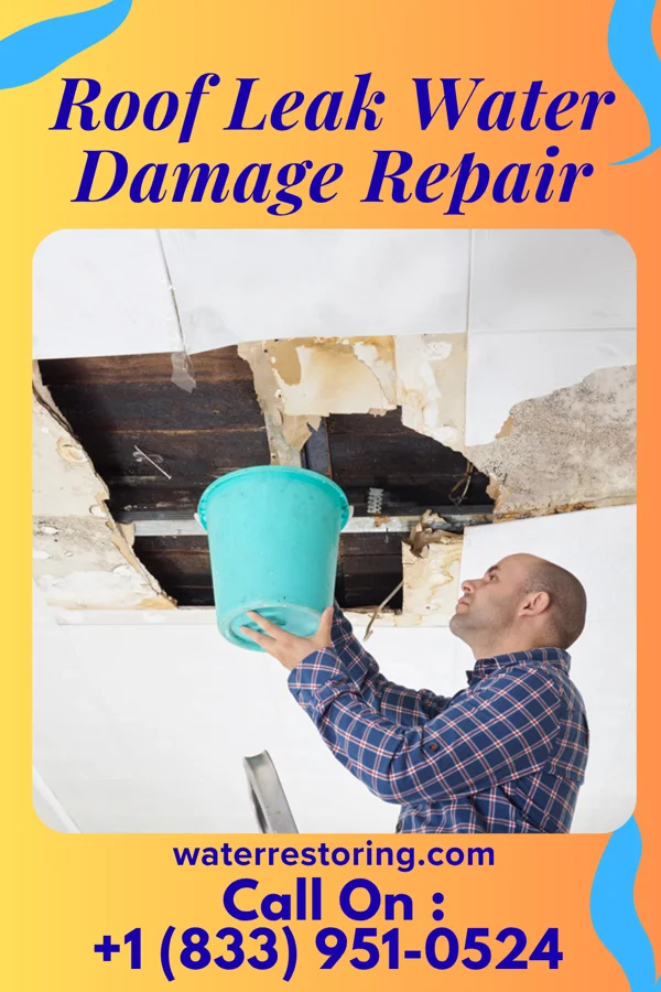 Roof Leak Water Damage Repair in Tilton, IL