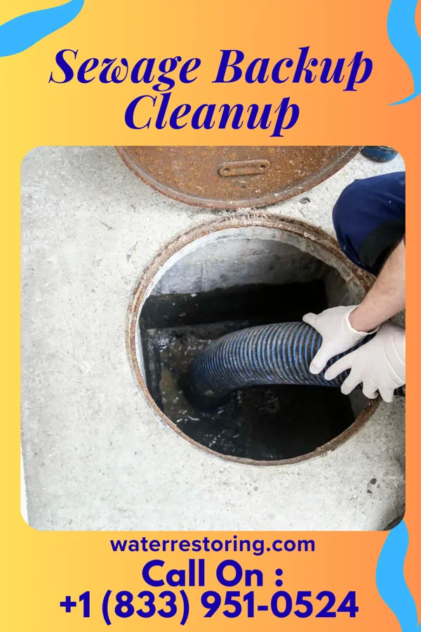 Sewage Backup Cleanup in Tilton, IL